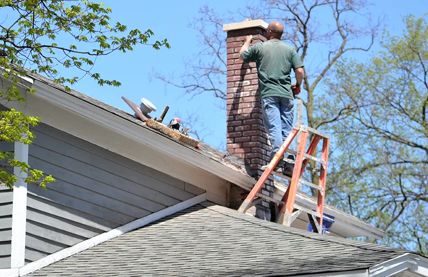 Chimney & Fireplace Inspections Services in Oak Harbor, WA